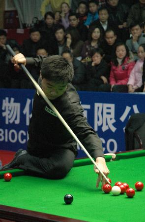 界积攒了大 界积攒了大