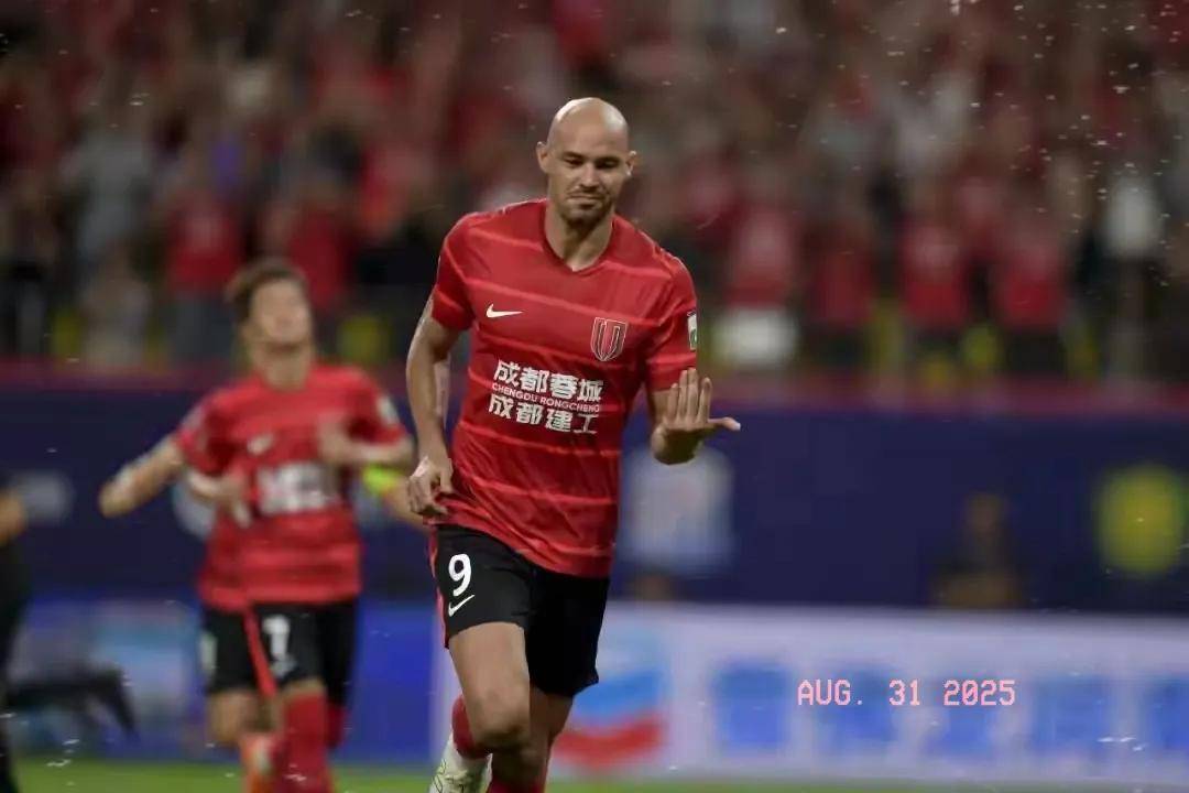 球迷们完全 球迷们完全