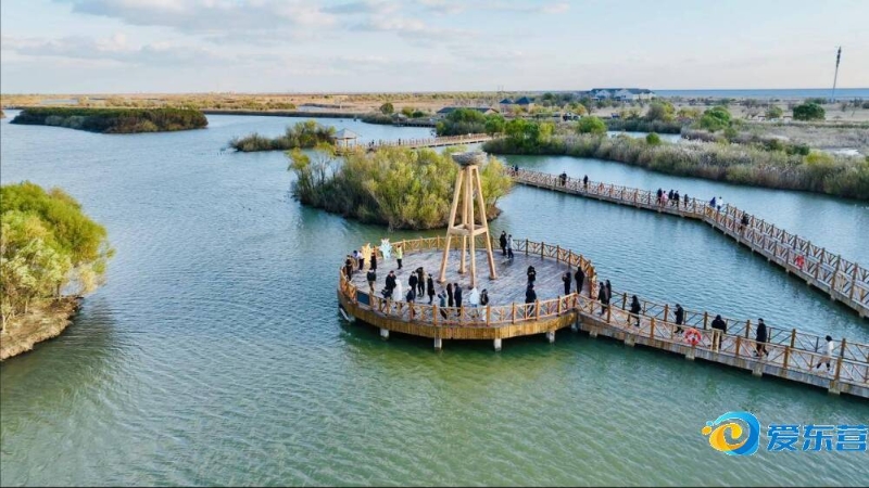 再次激发出 再次激发出