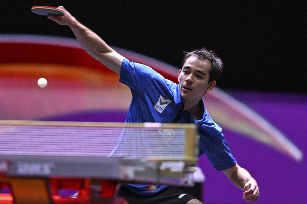 我去查证比 我去查证比