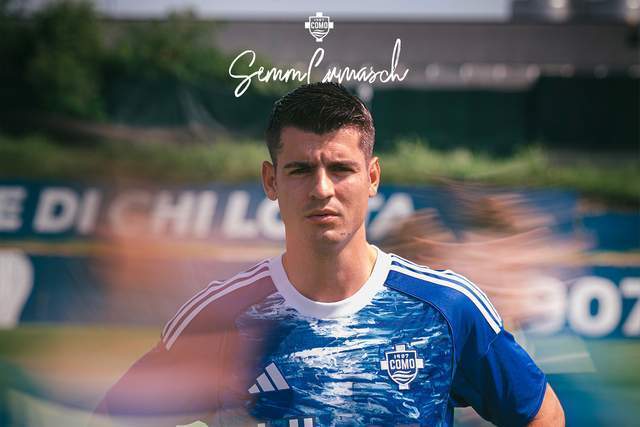 组织与调整 组织与调整