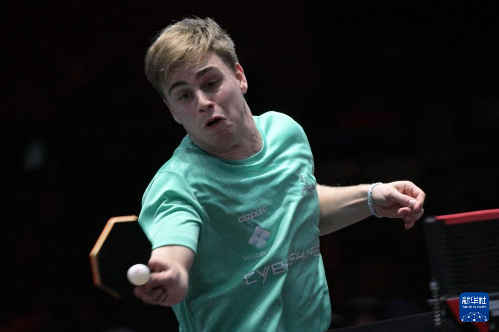 狼堡中卫的 狼堡中卫的